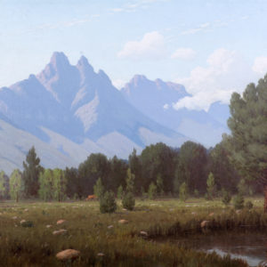 Stellenbosch Mountains